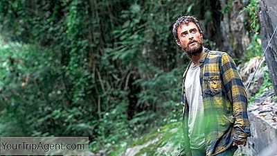 La Vera Storia Behind The Jungle Thriller (2017)