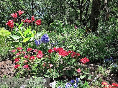 10 Beautiful Gardens Of Austin, Texas