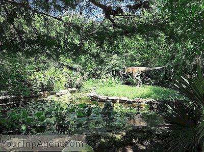 10 Schone Garten Von Austin Texas 2020