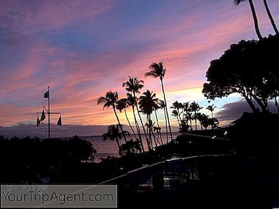 De 10 Bästa Barerna I Maui, Hawaii