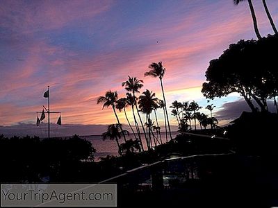 De 10 Beste Bars In Maui, Hawaii