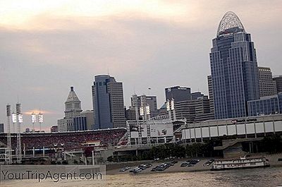 Cincinnati'Deki En İyi 10 Çiftlik