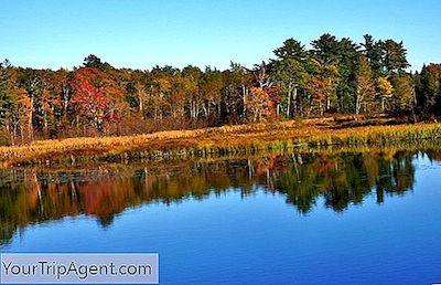 10 Nhà Máy Bia Thủ Công Tốt Nhất Ở Wisconsin