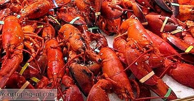 Maine En İyi Lobster Restoranları