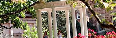 Chapel Hill, North Carolina En İyi 10 Restoran