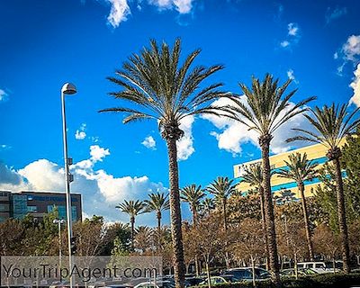 10 Restoran Terbaik Di Fontana, California