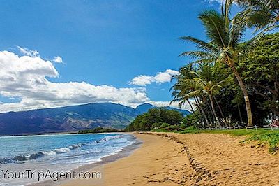 Cele Mai Bune 10 Restaurante Din Maui
