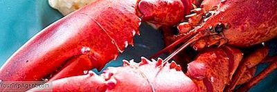 Cele Mai Bune 10 Restaurante Din New Bedford, Massachusetts