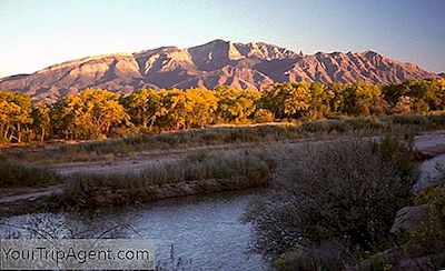 Rio Rancho, New Mexico'In En İyi 10 Restoran