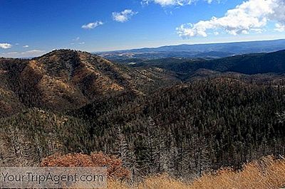 De 10 Bästa Restaurangerna I Ruidoso, New Mexico