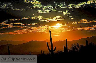 Scottsdale, Arizona En İyi 10 Restoran