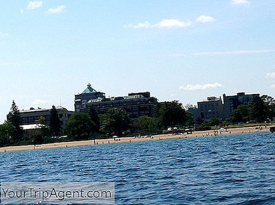 10 Nhà Hàng Tốt Nhất Tại Traverse City, Michigan