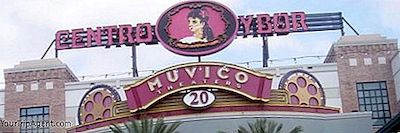 Die 10 Besten Restaurants In Ybor City, Tampa