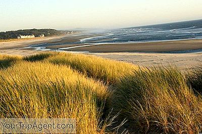 De 10 Beste Restaurantene På Oregon Coast, Oregon