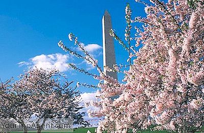 Les 10 Quartiers Les Plus Branchés De Washington, Dc