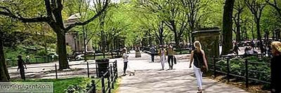 10 Morsomme Steder Å Utforske På En Solskinnsdag I New York City