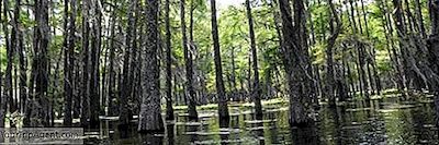 10 Mooiste Steden En Kleine Steden In Louisiana, Vs