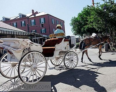 15 Palavras E Frases De Nova Orleans Que Você Deve Aprender Antes De Visitar A Cidade
