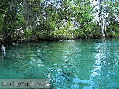 19 Incríveis Fontes De Água Doce Na Flórida