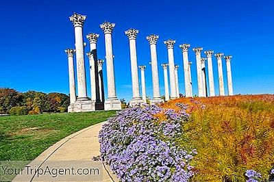 20 Attractions Incontournables À Washington, Dc