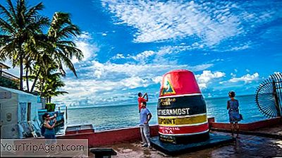 7 Increíbles Excursiones Desde Miami