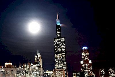 7 Gedichte, Die Die Essenz Chicagos Aufnehmen