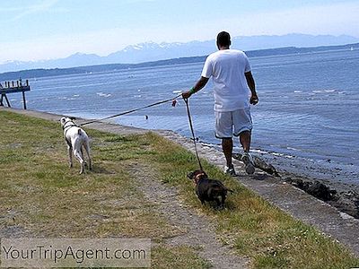 Seattle'Da Yalnız Olmak İçin Aktiviteler