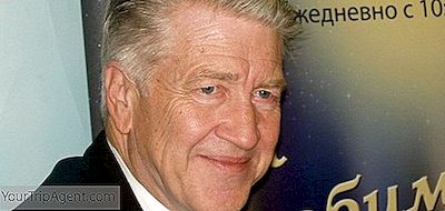 De Beste 8 Films Van David Lynch