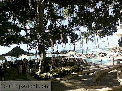De Beste Strandbars In Honolulu, Hawaii