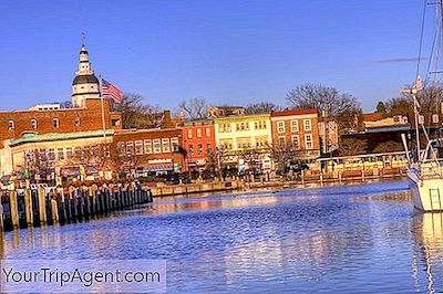 Baltimore'Dan En İyi Günü Gezileri
