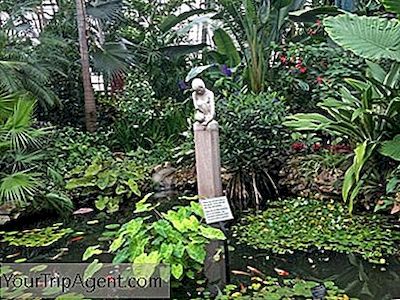 Die Besten Indoor Garten In Chicago 2020