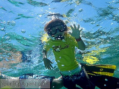 Os Melhores Lugares Para Fazer Mergulho Com Snorkel Na Flórida