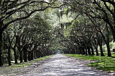 Los Mejores Restaurantes Y Come En Historic Savannah, Georgia