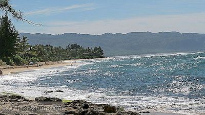 En Iyi Haleiwa, Hawaii Restoranları