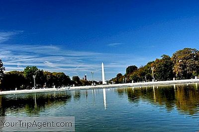 Các Điểm Tốt Nhất Cho Bữa Nửa Buổi Trên Đồi Capitol, Washington Dc