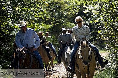 イリノイ州での乗馬に最適なスポット