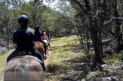 Los Mejores Lugares Para Montar A Caballo Cerca De Austin