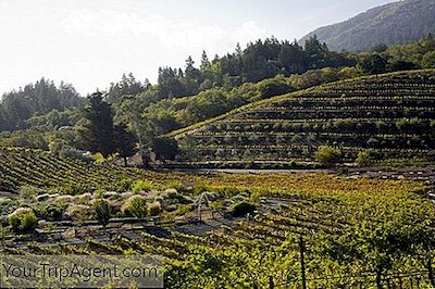 Las Mejores Bodegas Para Visitar En El Norte De California