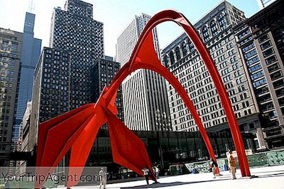 Chicago'Nun Flamingo'Nun Kısa Tarihi
