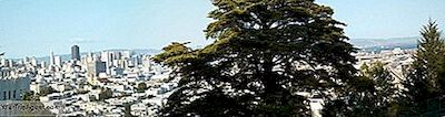 San Francisco’Nun Buena Vista Parkının Kısa Tarihi