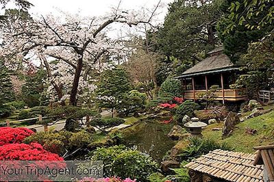 Une Brève Histoire Du Jardin Japonais De Thé De San Francisco