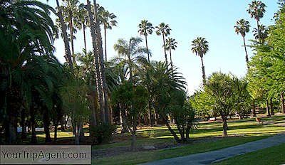 Mangiare Nella Silicon Valley Nei 10 Migliori Ristoranti Di San Jose, California