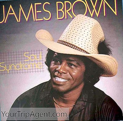 Funk Soul Kardeş: Sesli James Brown’S Devrimi