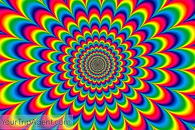 ทำความรู้จักพิพิธภัณฑ์ Lsd ทางการของซานฟรานซิสโก