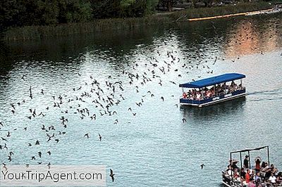 Como Passar 24 Horas Em Austin, Texas