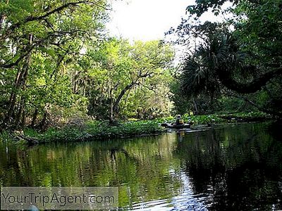 Suối Nước Nóng Tự Nhiên Đẹp Nhất Gần Orlando