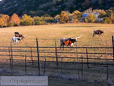 De Beroemdste Ranches In Texas