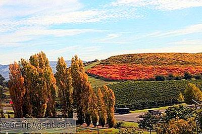 10 Phòng Trưng Bày Nghệ Thuật Đương Đại Tuyệt Đẹp Của Napa Valley