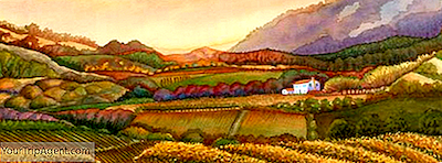 Las 10 Impresionantes Galerías De Arte Contemporáneo De Napa Valley
