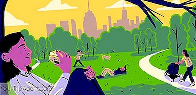 Activités Non-Touristiques À New York